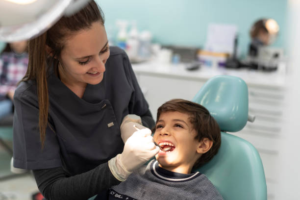 Best Emergency Pediatric Dentist  in Woodridge, IL